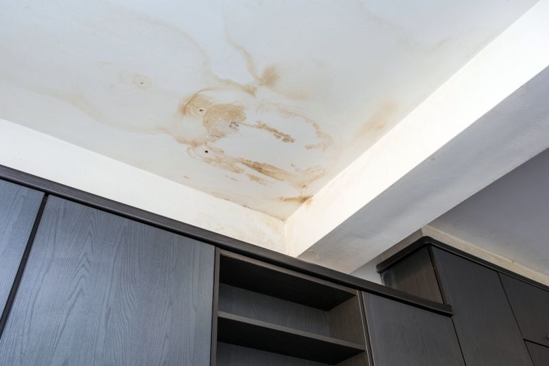 Leaking Ceiling Repair in Denver, CO