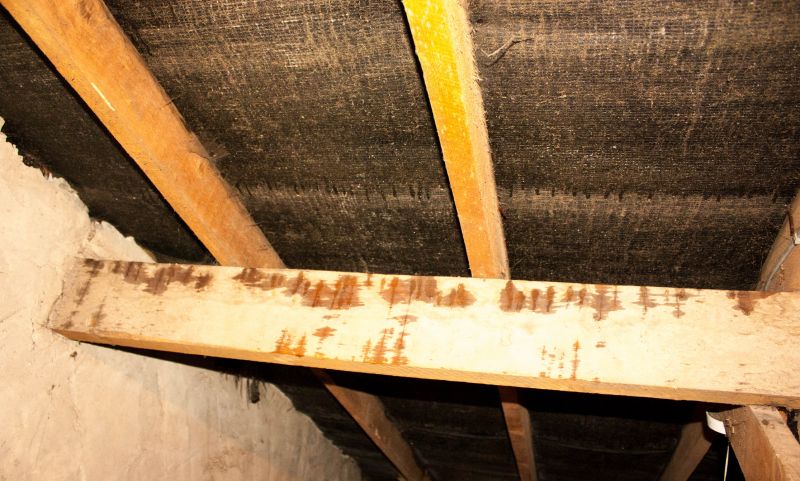 Leaking Ceiling Repair in Charleston, SC